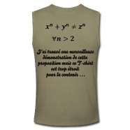 t shirt humour maths